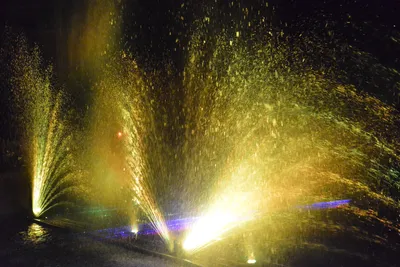 DSC_7075 (Large).JPG